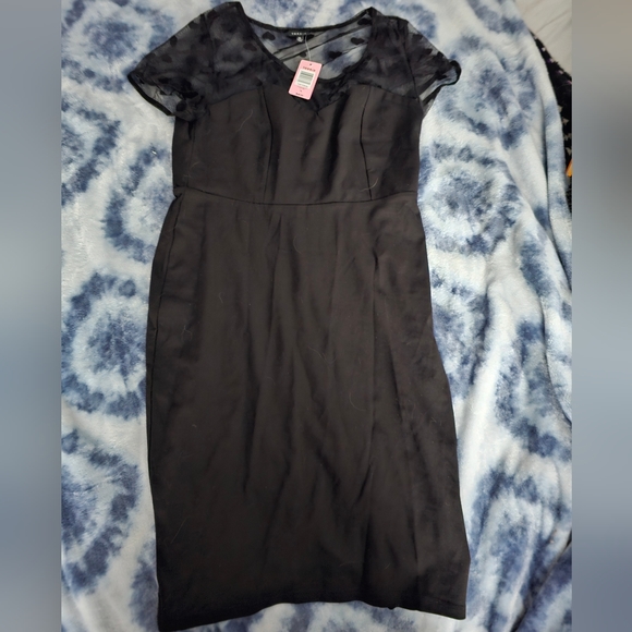 NWT Torrid Heart Mesh Illusion Ponte Dress in Black - Size 16 Plus - Picture 2 of 3